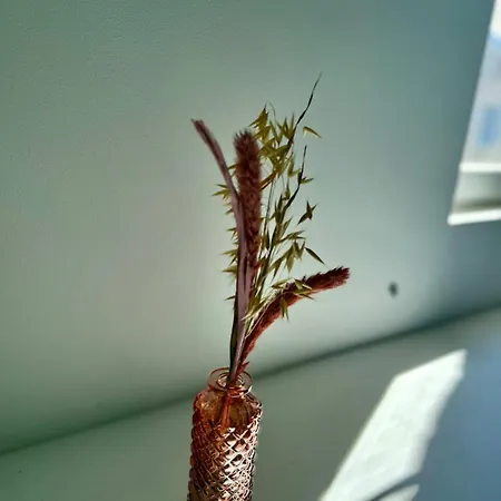 شقة Perfect Pied-a-terre In *